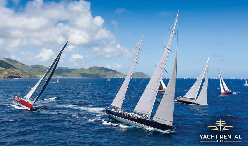 Bay-of-Islands-Sailing-Event