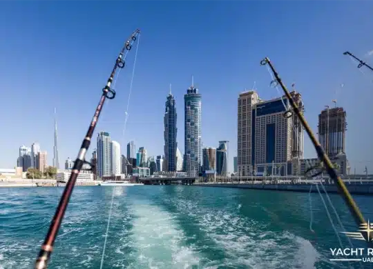 How to Get Fishing License in Dubai